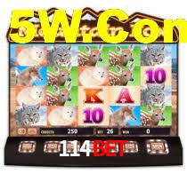 114Bet Login